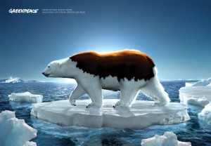 greenpeace-bear